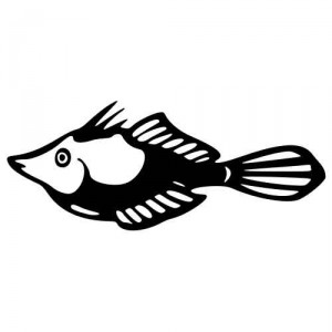 Aufkleber Fish 17