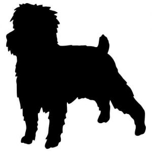 Aufkleber Hund Affenpinscher 2