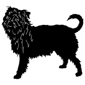 Aufkleber Hund Affenpinscher