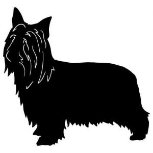 Aufkleber Hund Australien Silky Terrier