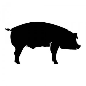 Folienaufkleber Tiermotiv Schwein 02