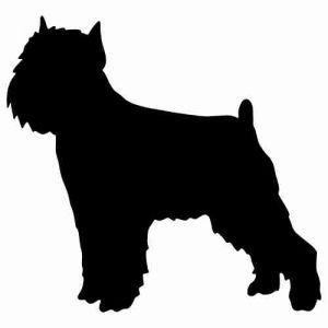 Aufkleber Hund Brussels Griffon 2