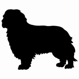 Aufkleber Hund Cavalier King Charles Spaniel