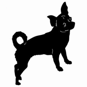 Aufkleber Hund Chihuahua 8