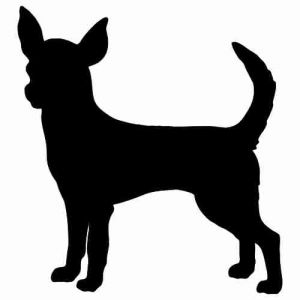 Aufkleber Hund Chihuahua 10