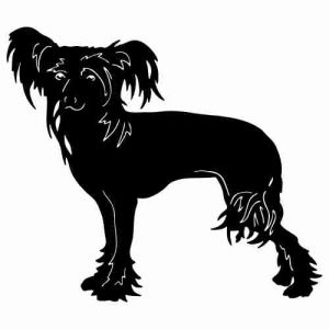 Aufkleber Hund Chinese Crested 4