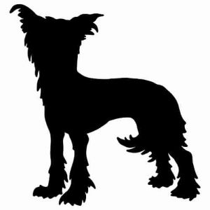 Aufkleber Hund Chinese Crested 5