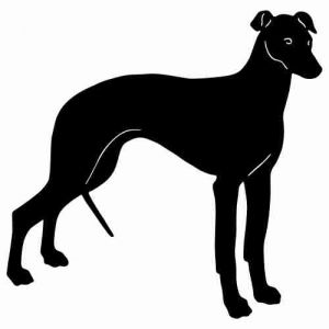 Aufkleber Hund Greyhound