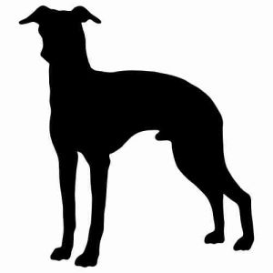 Aufkleber Hund Italienischer Greyhound 2