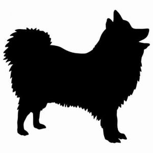 Aufkleber Hund Japanischer Spitz