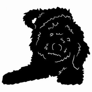 Aufkleber Hund Labradoodle 2