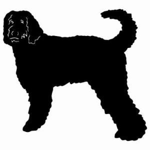 Aufkleber Hund Labradoodle 3