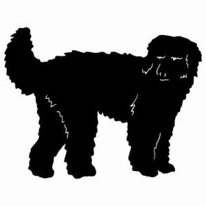 Aufkleber Hund Labradoodle 4