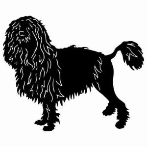 Aufkleber Hund Lowchen (Lwchen)