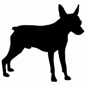 Aufkleber Hund Miniatur Pinscher