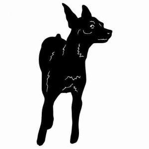 Aufkleber Hund Miniatur Pinscher 2