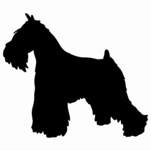 Aufkleber Hund Miniatur Schnauzer 2