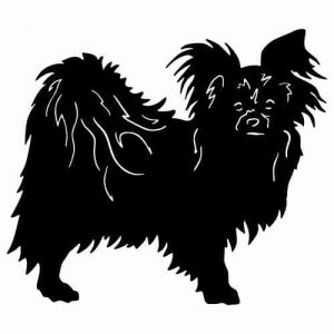 Aufkleber Hund Papillon 2