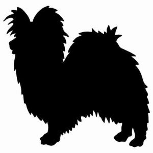 Aufkleber Hund Papillon 3