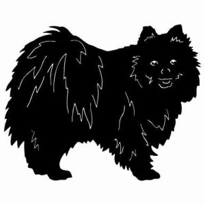 Aufkleber Hund Pomeranian 2