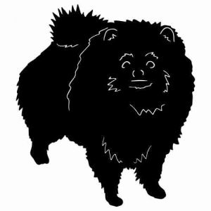 Aufkleber Hund Pomeranian 4