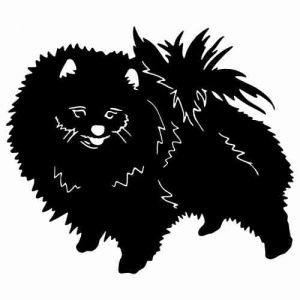 Aufkleber Hund Pomeranian 6