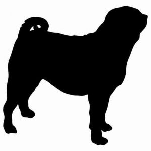 Aufkleber Hund Pug 4 (Mops)