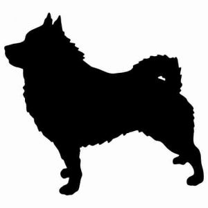 Aufkleber Hund Schipperke 2