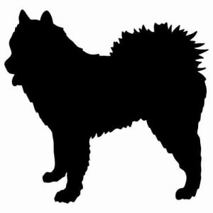 Aufkleber Hund Spitz