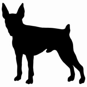 Aufkleber Hund Toy Fox Terrier