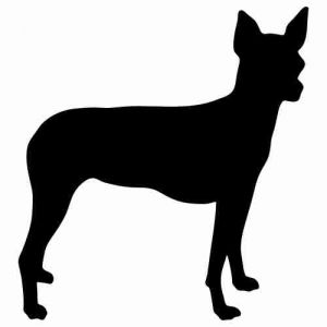 Aufkleber Hund Xolo