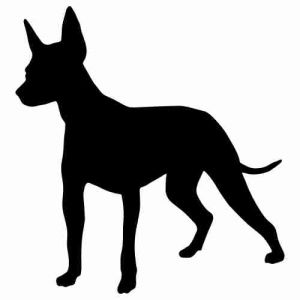 Aufkleber Hund Xolo 2