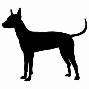 Aufkleber Hund Xolo 6