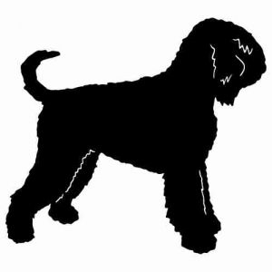 Aufkleber Hund Black Russian Terrier