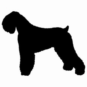 Aufkleber Hund Black Russian Terrier 2