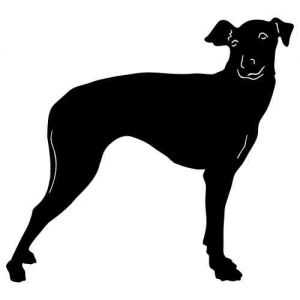 Aufkleber Hund Manchester Terrier