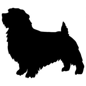 Aufkleber Hund Norfolk Terrier 2