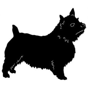 Aufkleber Hund Norwich Terrier