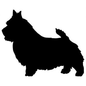 Aufkleber Hund Norwich Terrier 2