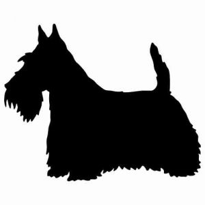 Aufkleber Hund Scottish Terrier 3