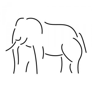 Folienaufkleber Tiermotiv Elefant 03