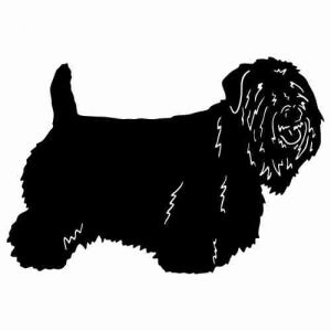 Aufkleber Hund Sealyham Terrier 2