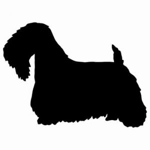 Aufkleber Hund Sealyham Terrier 3