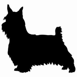 Aufkleber Hund Silky Terrier