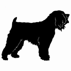 Aufkleber Hund Soft Coated Wheaten Terrier