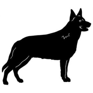 Aufkleber Hund Australien Kelpie