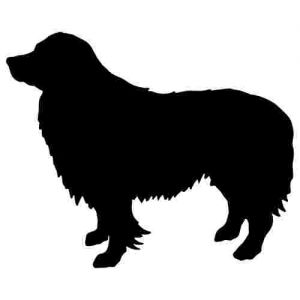 Aufkleber Hund Border Collie 2b