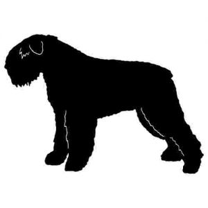 Aufkleber Hund Bouvier des flandres