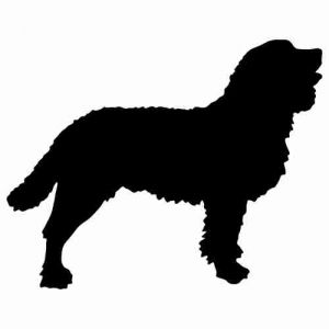 Aufkleber Hund American Water Spaniel