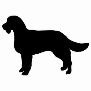 Aufkleber Hund American Water Spaniel 2